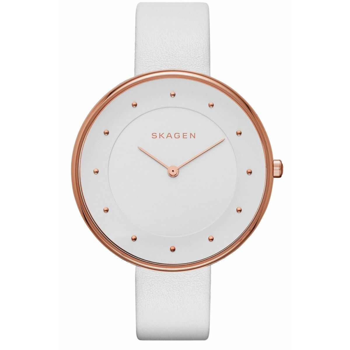 Montre Femme Skagen SKW2291 (Ø 38 mm)