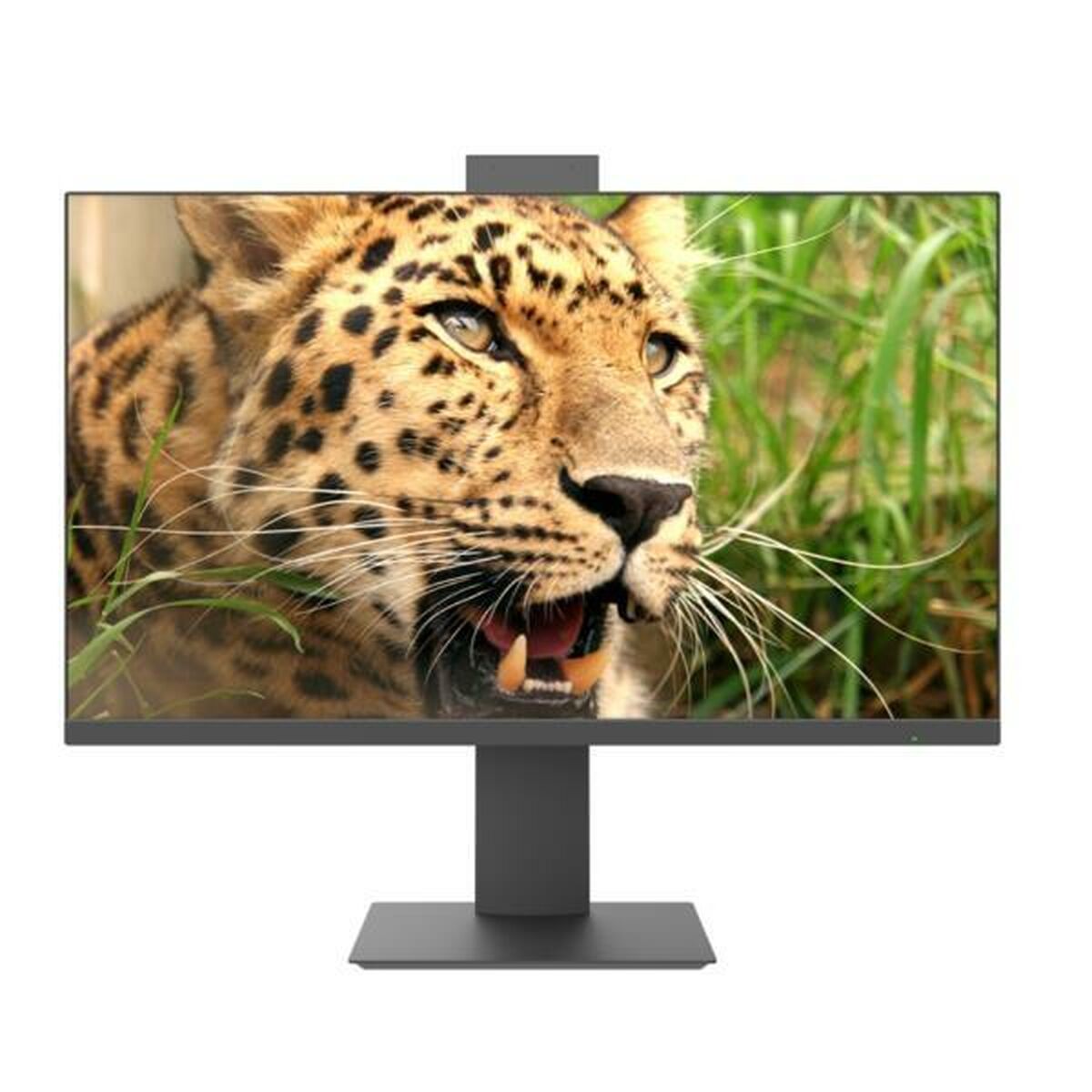 Picture of Monitor Nilox