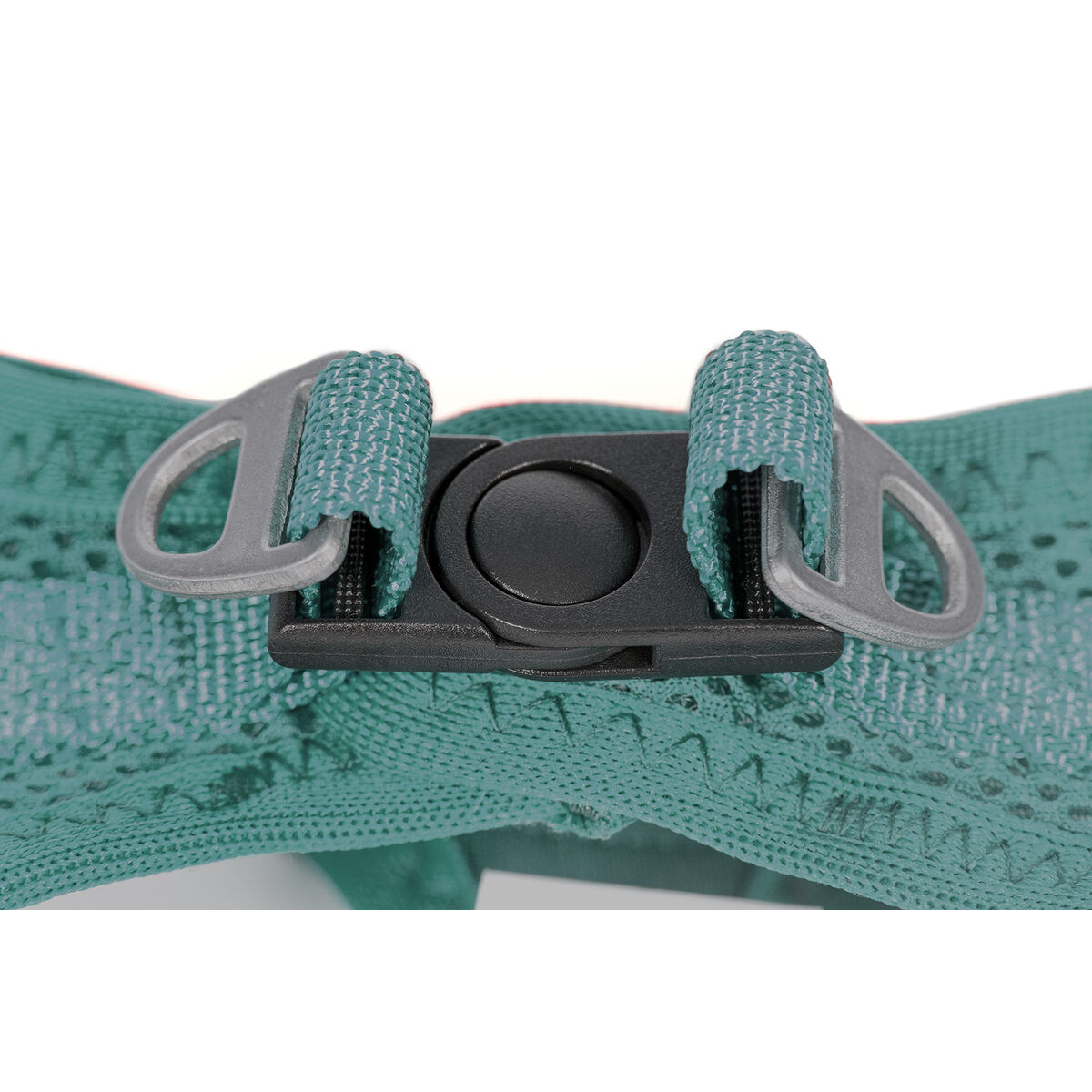 Dog Harness Gloria Trek Star 24-26 cm 28-28,6 cm Turquoise XXS, view 2
