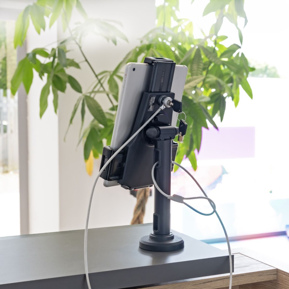 Afbeeldingen van Mobile support TooQ TQTDS0812