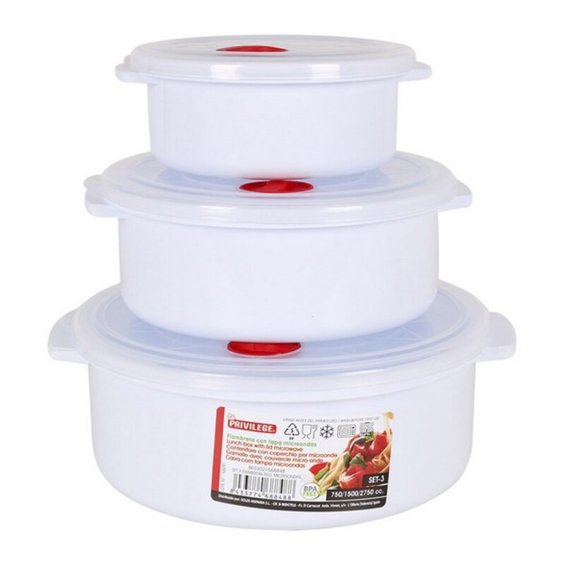 Set of Lunch Boxes with Lid for Microwaves Dem 90397 (25,5 x 23 x 8,5)