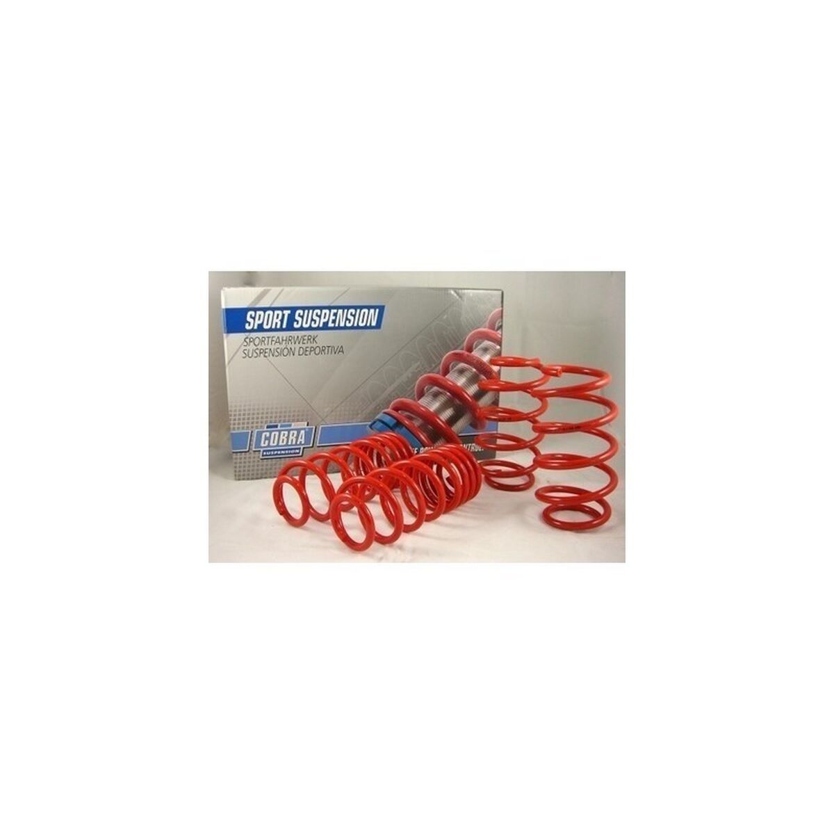 Coil springs