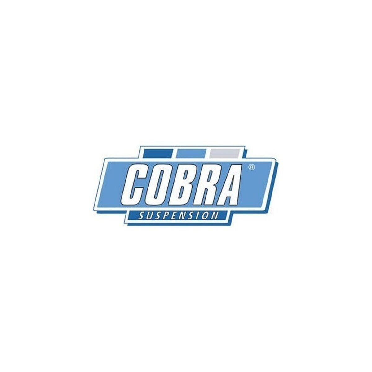 Spring Kit Cobra COB014236