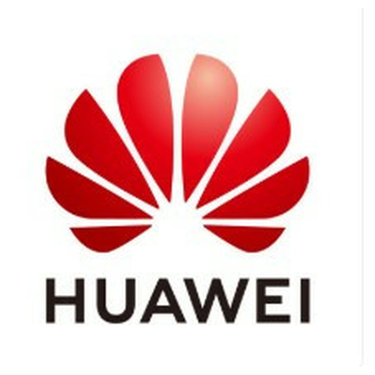 Picture of Switch Huawei 45060155