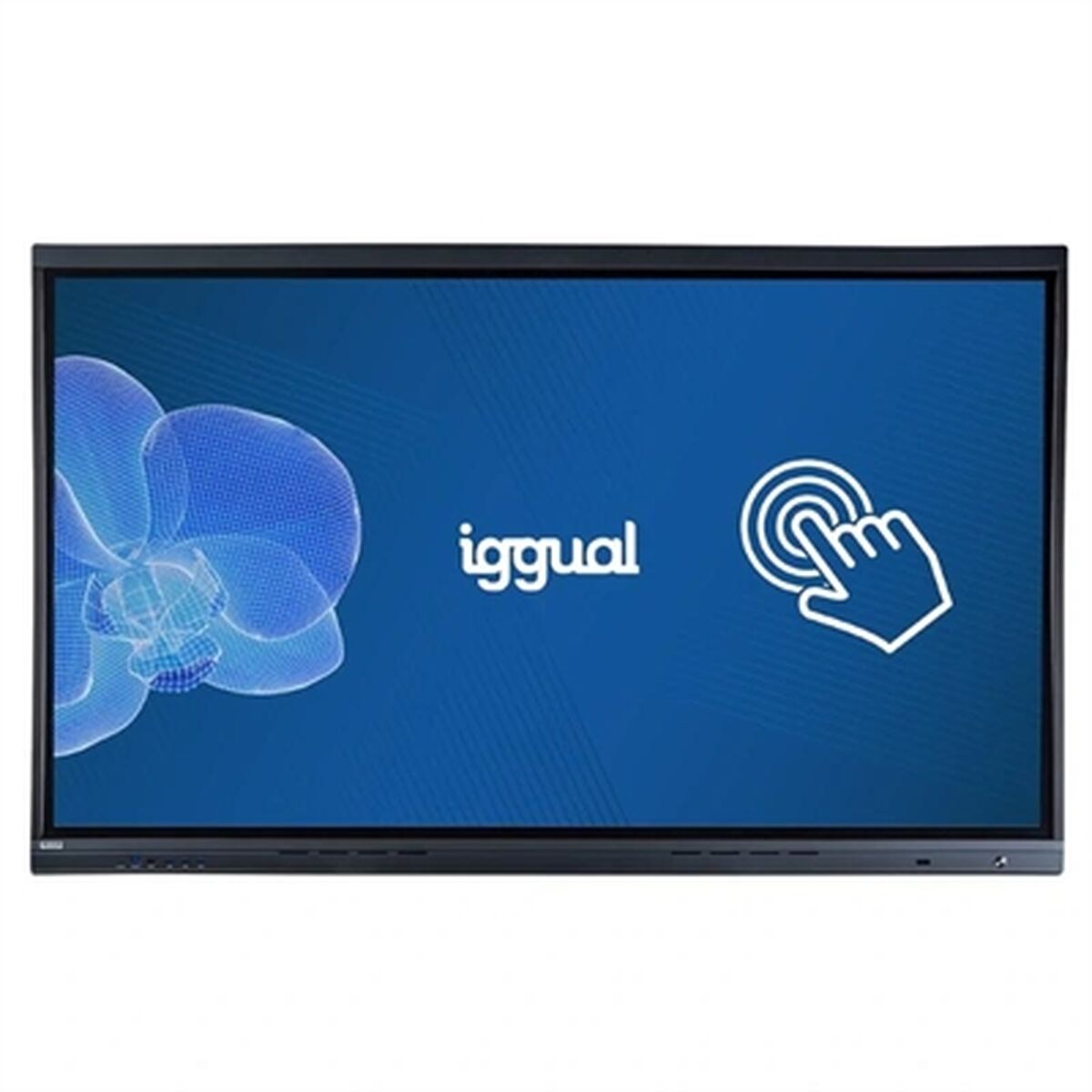 Afbeeldingen van Projection Screen iggual ORCHID 75