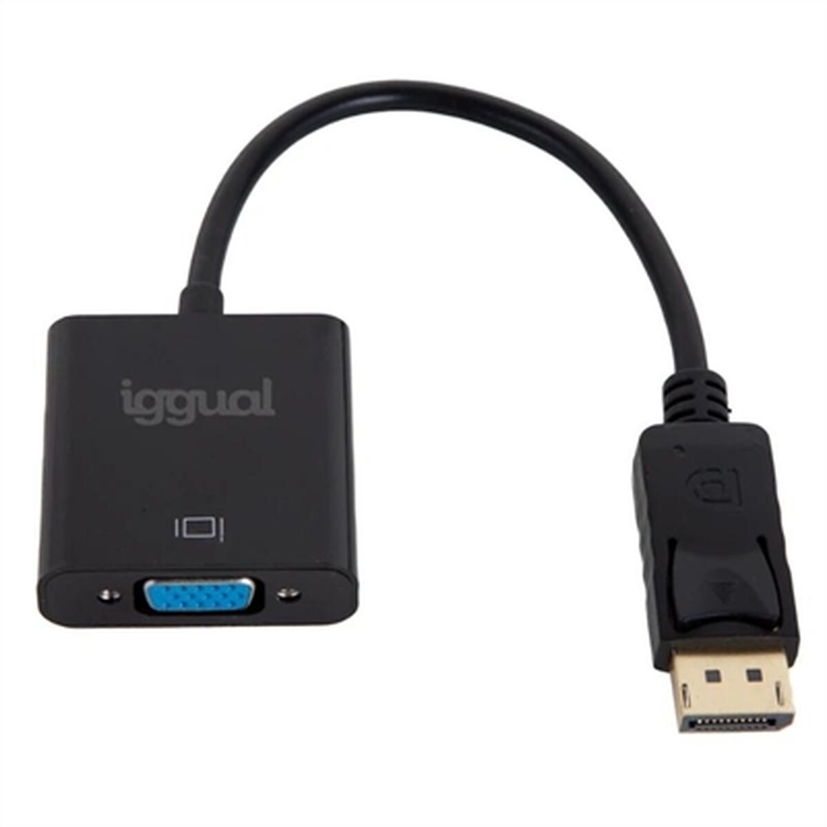 Adaptateur DisplayPort vers VGA iggual IGG319062
