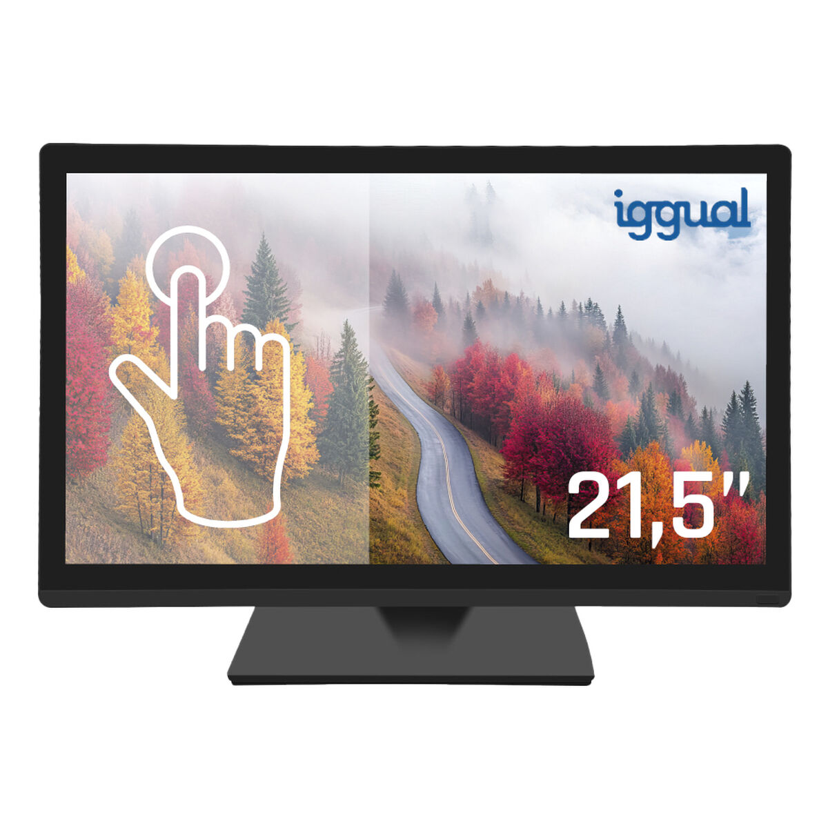 Picture of Monitor iggual IGG319840 21,5" Full HD