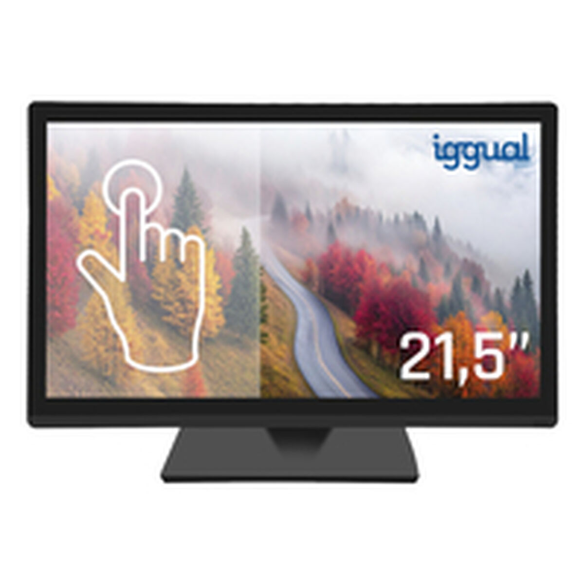 Picture of Monitor iggual IGG319840 21,5" Full HD