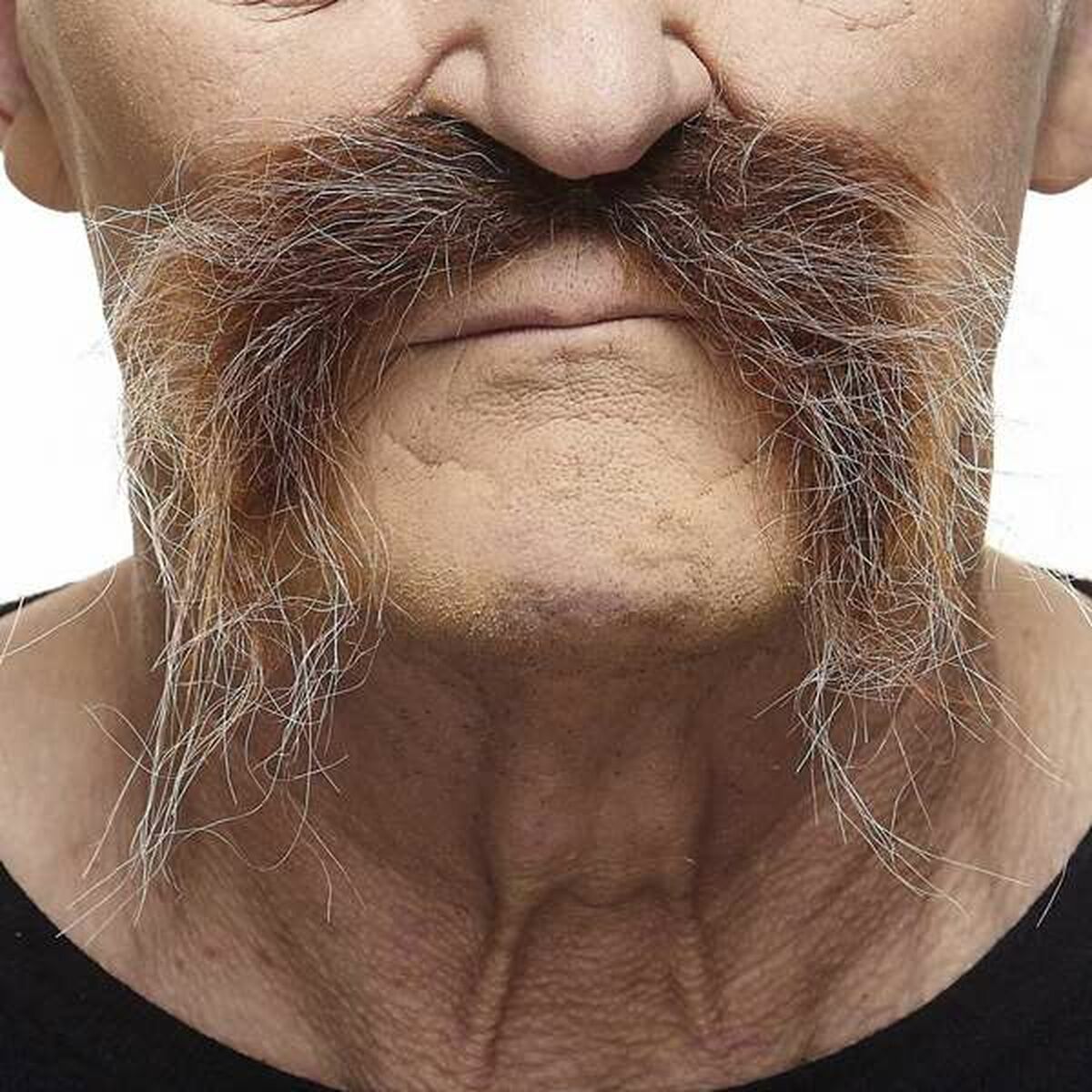 Moustache My Other Me Marron