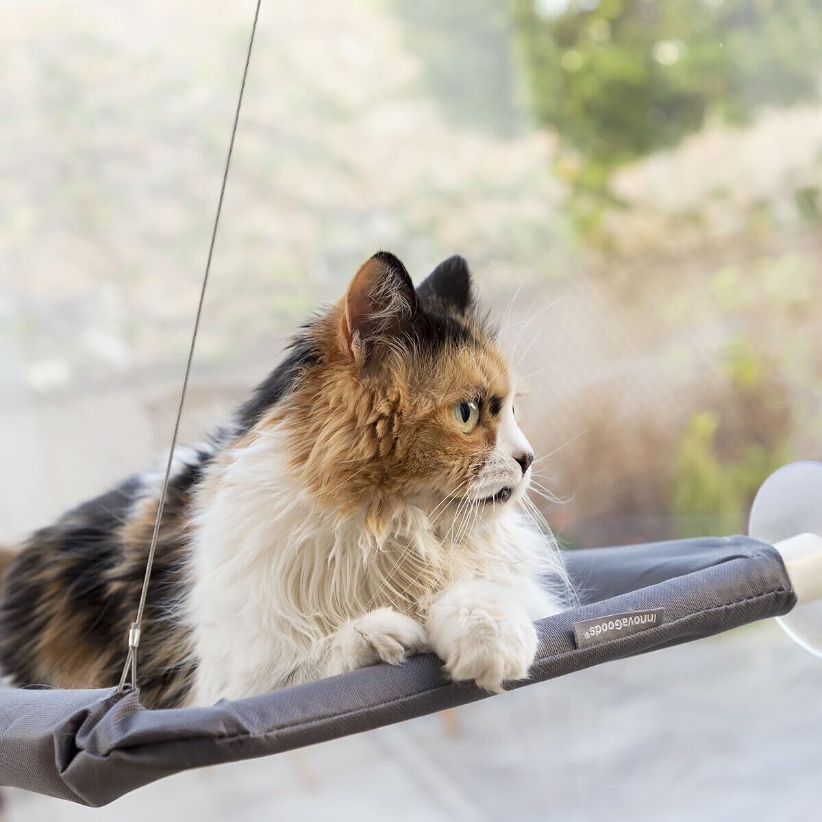 Hängematte für Katzen Catlax InnovaGoods V0103474 Weiß Grau (Restauriert A) - Thumbnail 6