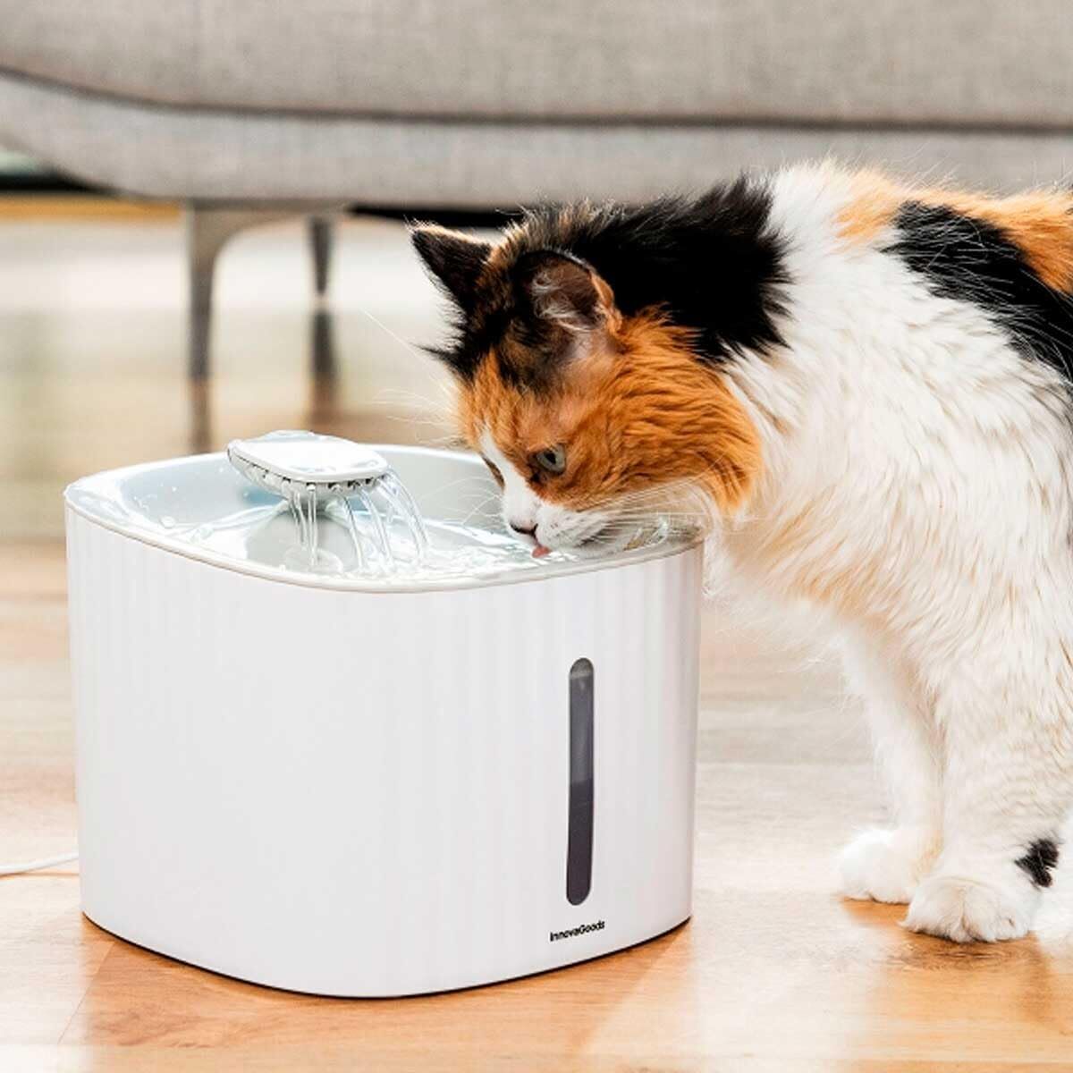 Trinkbrunnen für Haustiere InnovaGoods Polypropylen 3 L (Restauriert C) - Thumbnail 8