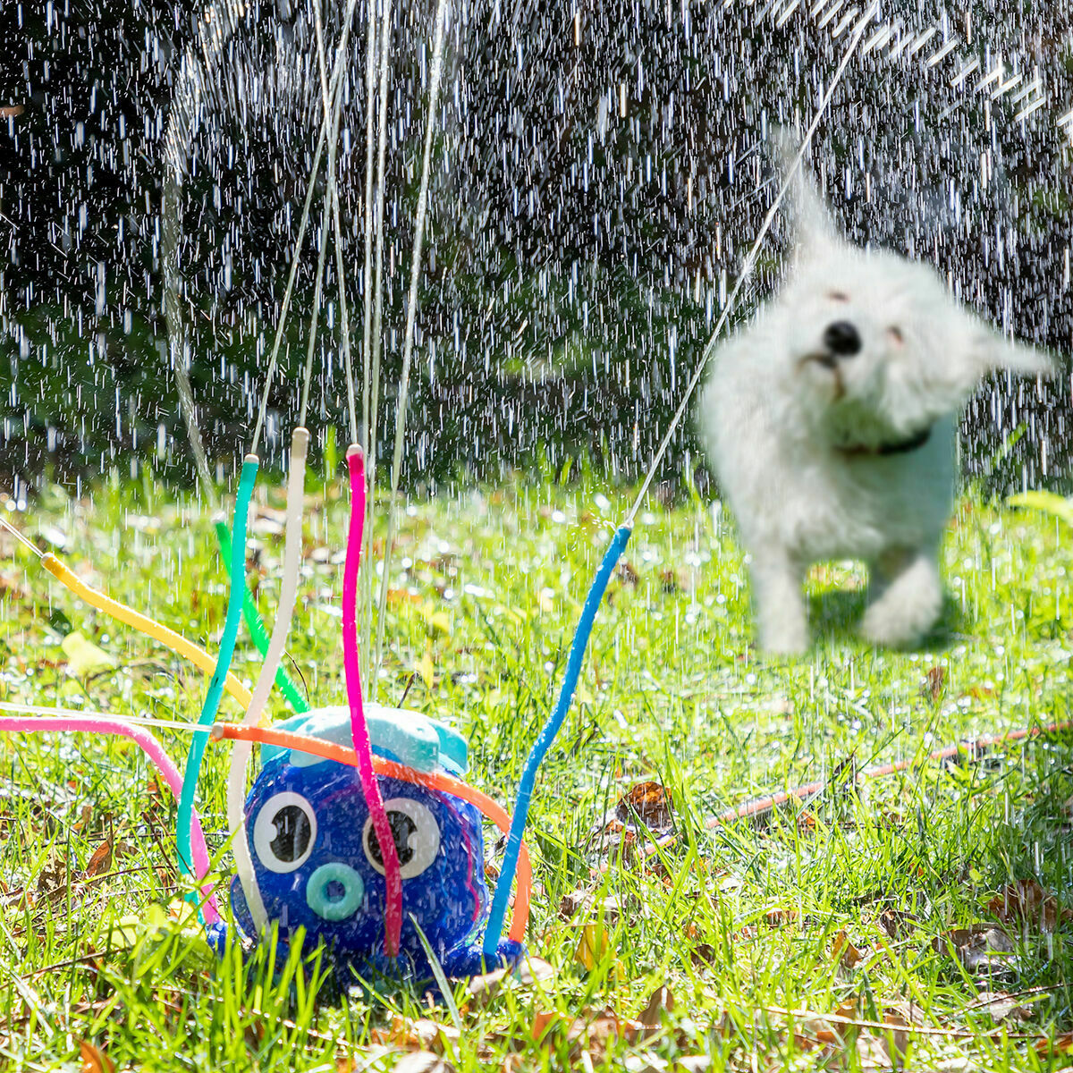 Pack Riesiger aufblasbarer Bumper-Bubble-Ball und Wassersprinkler-Spielzeug InnovaGoods - Thumbnail 4