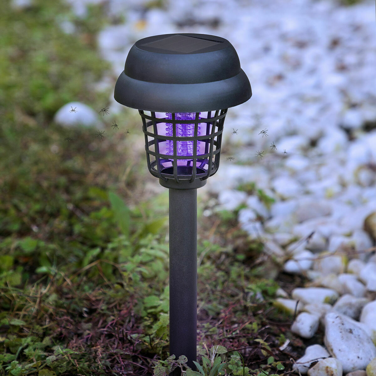 Solarbetriebene Lampe für den Garten gegen Mücken InnovaGoods 4 Stück - Thumbnail 3
