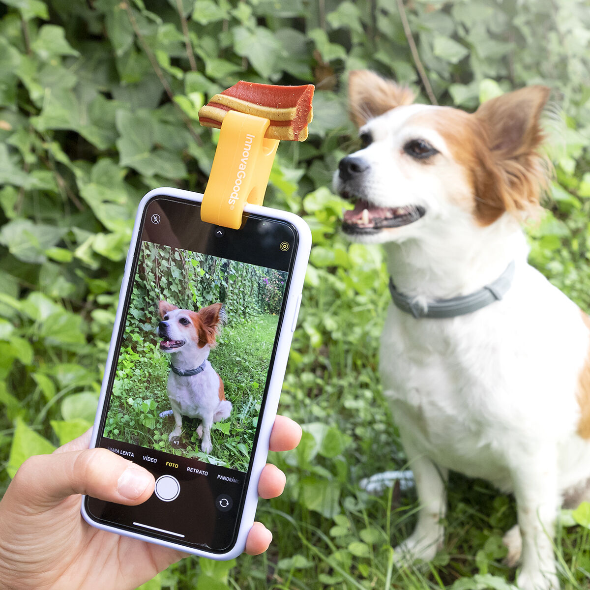 Pack Klammer für Selfies mit Haustieren und Hängematte für Katzen InnovaGoods - Thumbnail 2