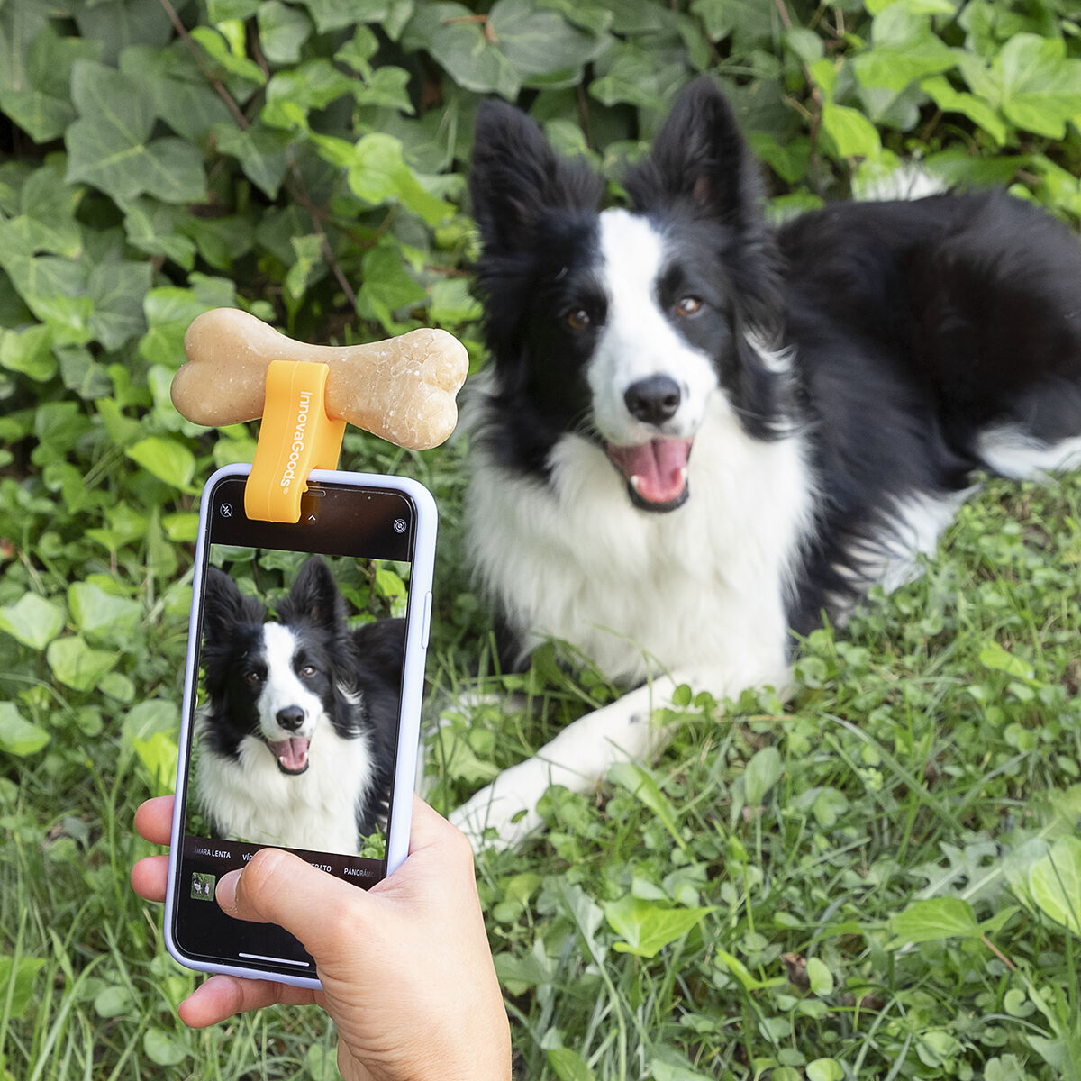 Pack Klammer für Selfies mit Haustieren und Hängematte für Katzen InnovaGoods - Thumbnail 6