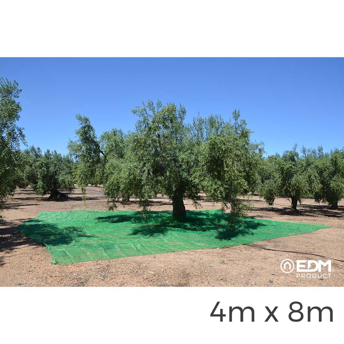 Leggins EDM Frugtopsamler Grøn polypropylen 4 x 8 m