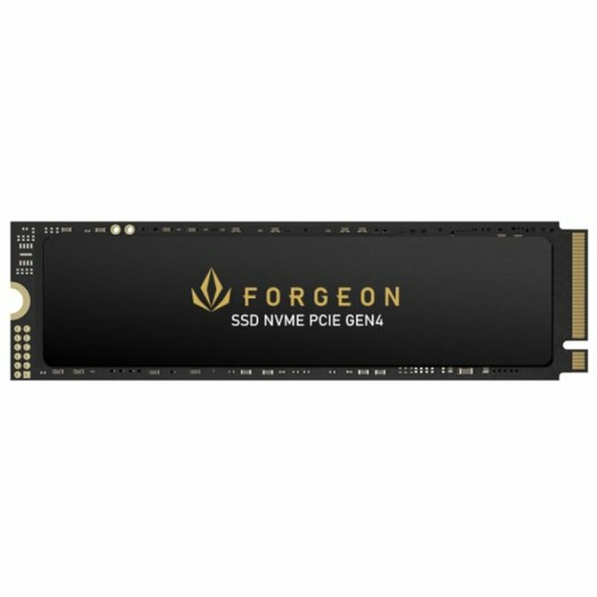 Hard Disk Forgeon 4 TB SSD