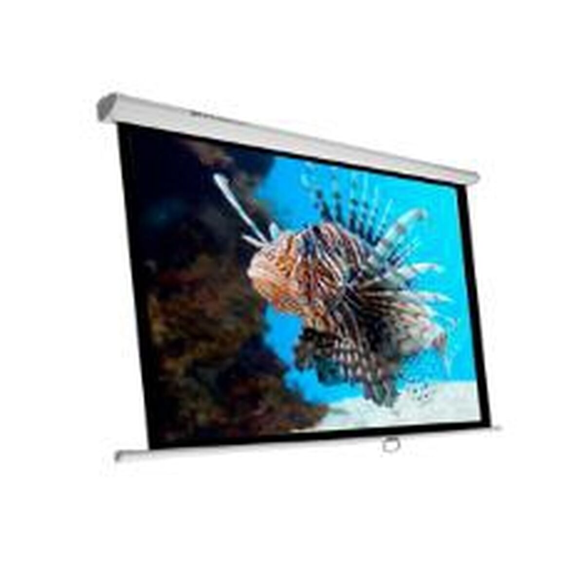 Bild von Projection Screen Phoenix PH-240 (Refurbished A)