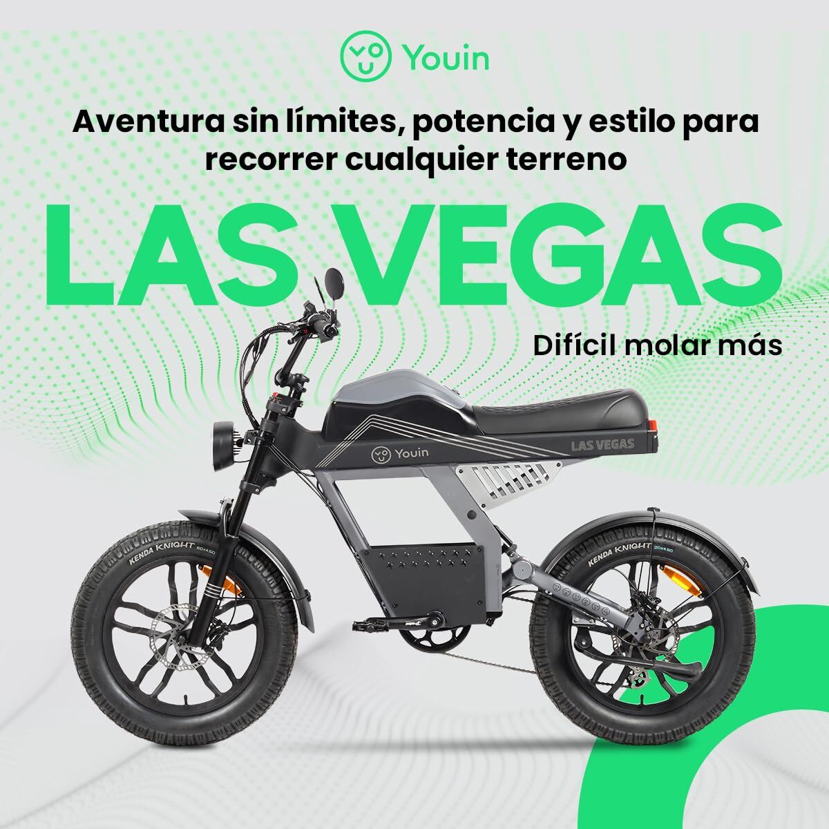 Picture of Electric Bike Youin BK7100 LAS VEGAS 250 W
