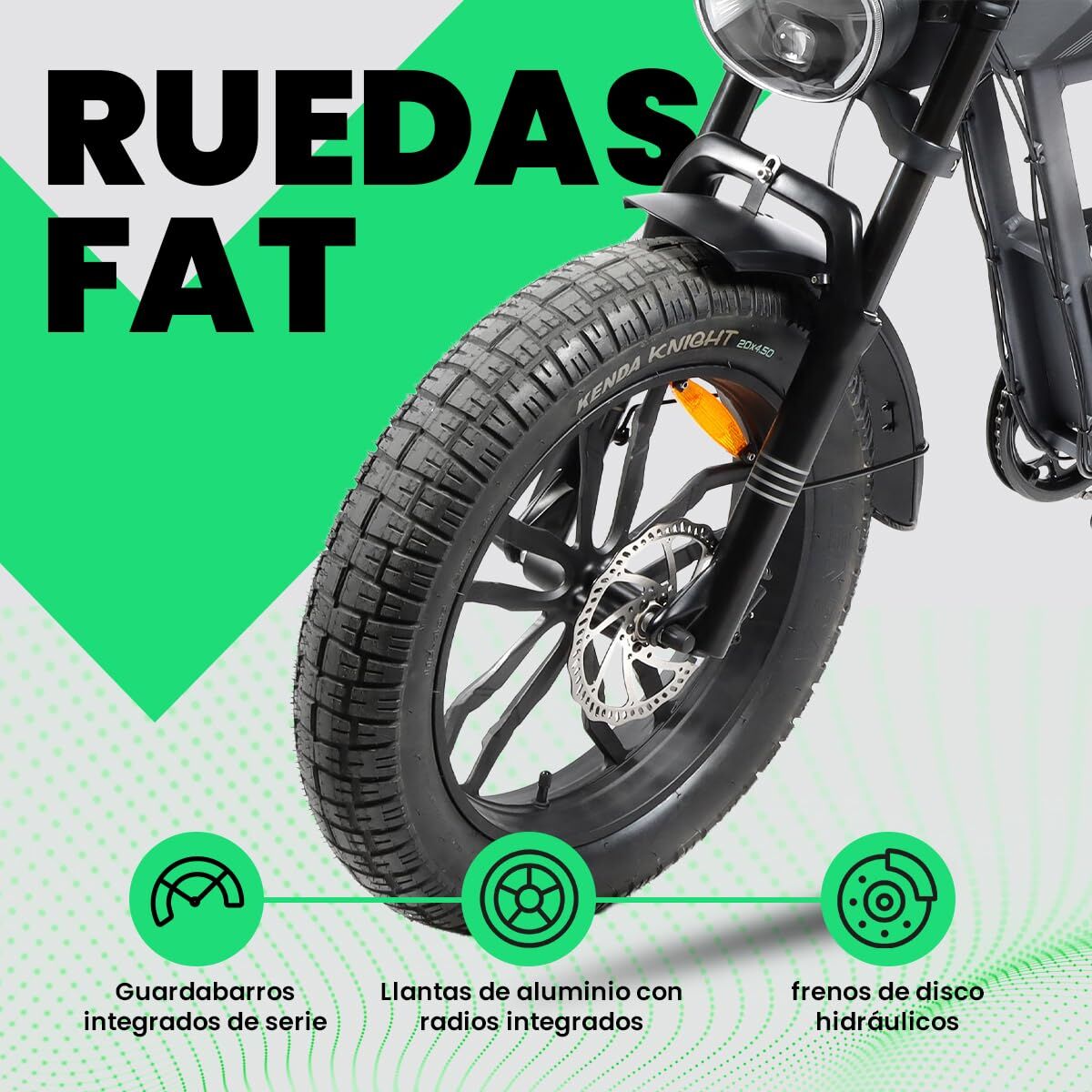 Picture of Electric Bike Youin BK7100 LAS VEGAS 250 W