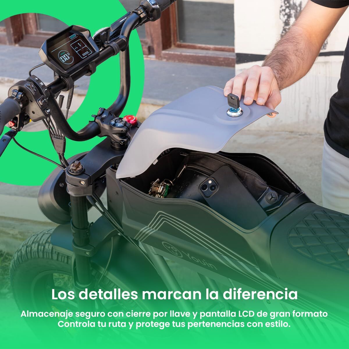 Picture of Electric Bike Youin BK7100 LAS VEGAS 250 W