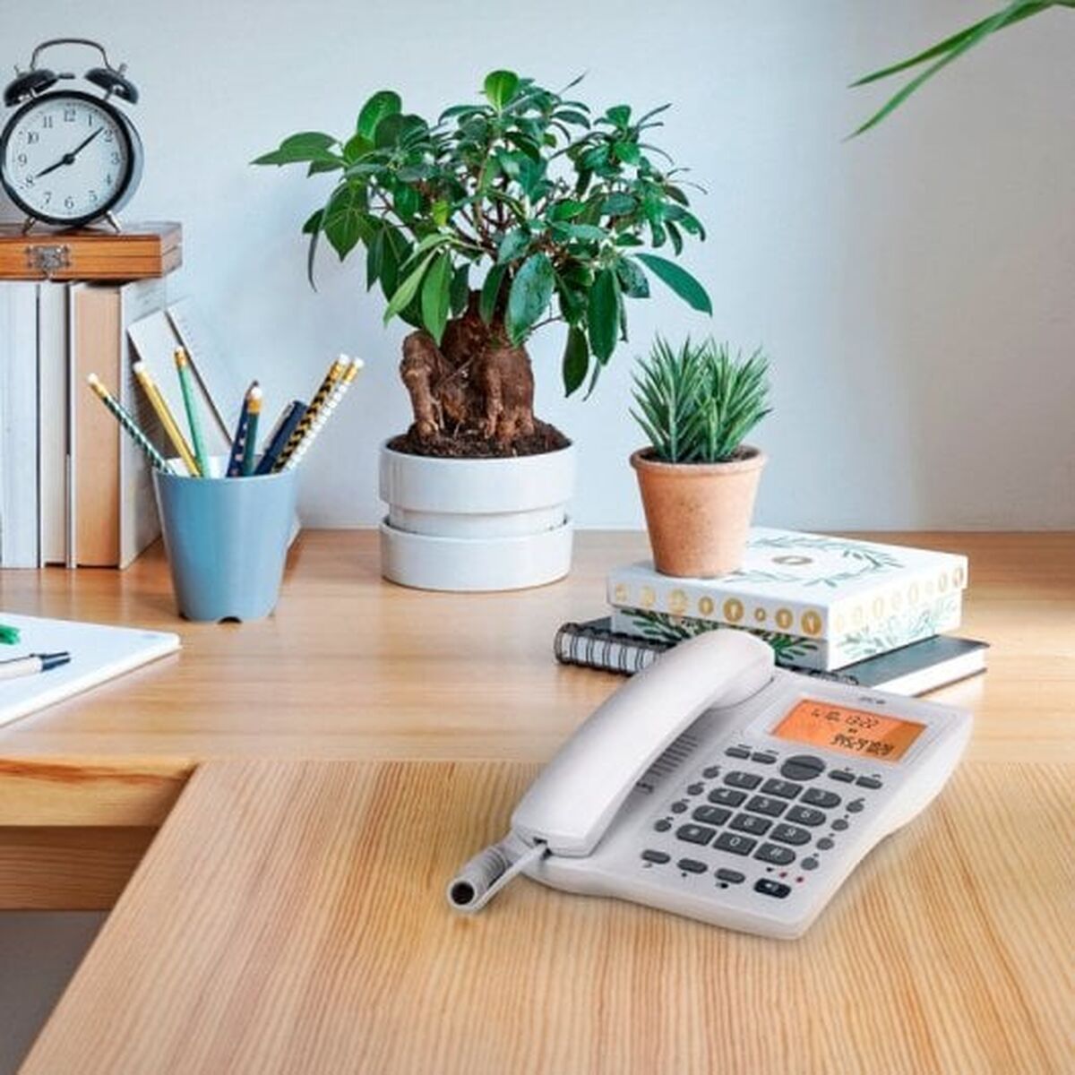 Landline Telephone SPC 3612B White