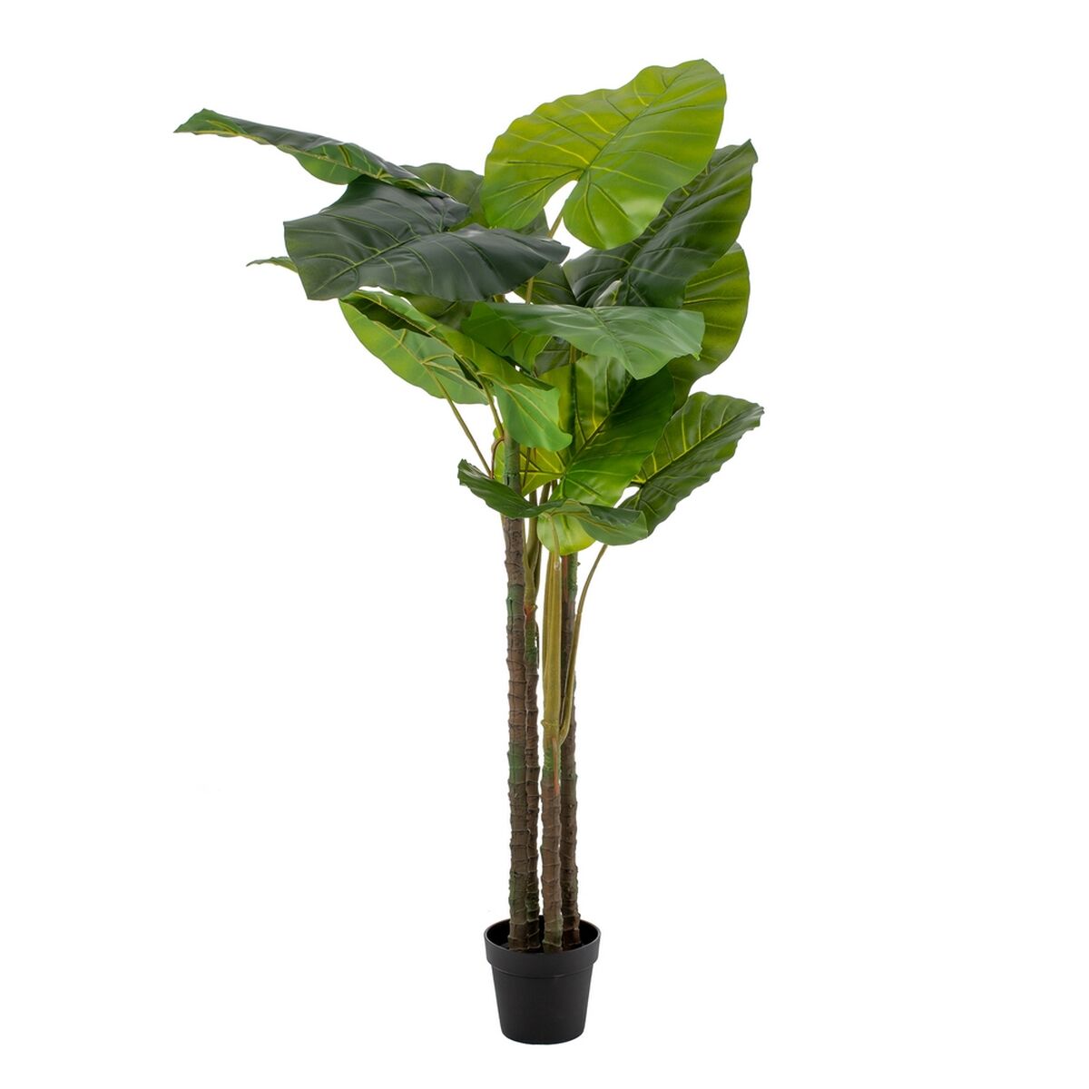 Plante décorative 75 x 60 x 155 cm Vert Philodendron