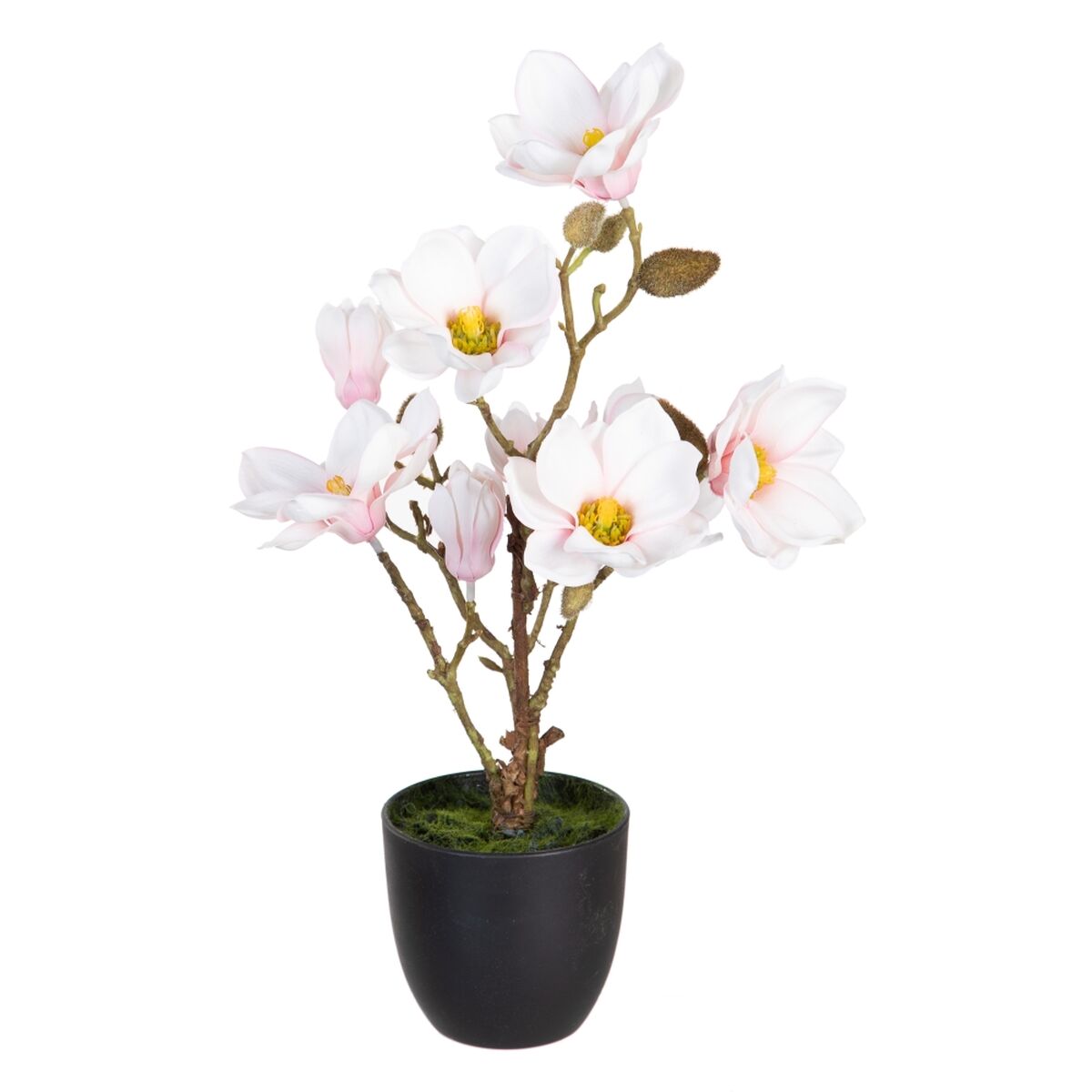 Plante décorative Polyester Polyéthylène Fer 25 x 25 x 49 cm Magnolia