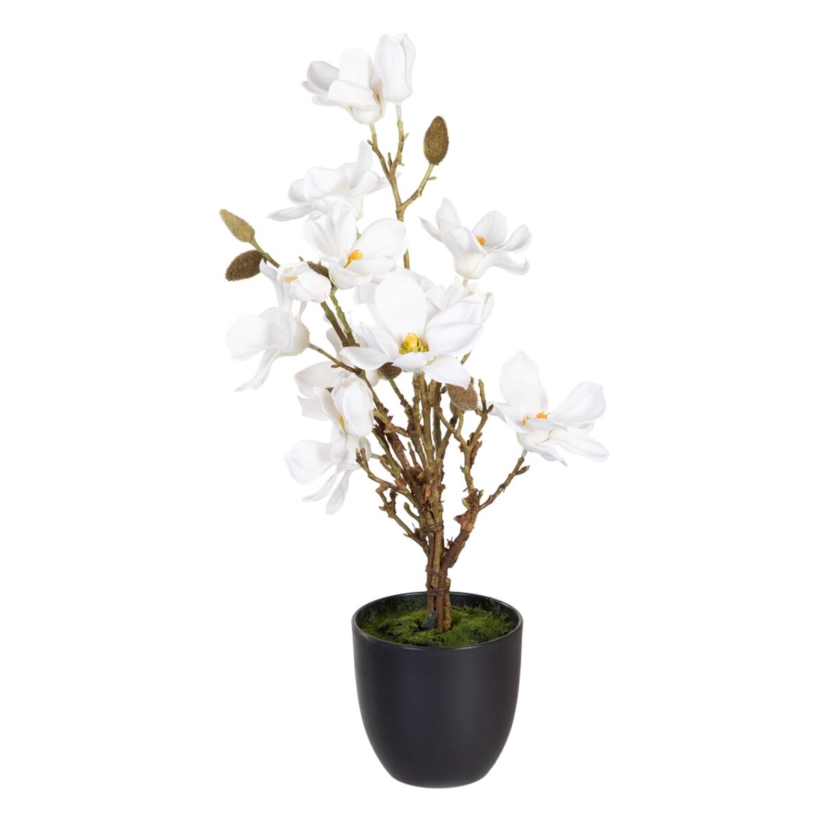 Plante décorative Polyester Polyéthylène Fer 30 x 30 x 60 cm Magnolia