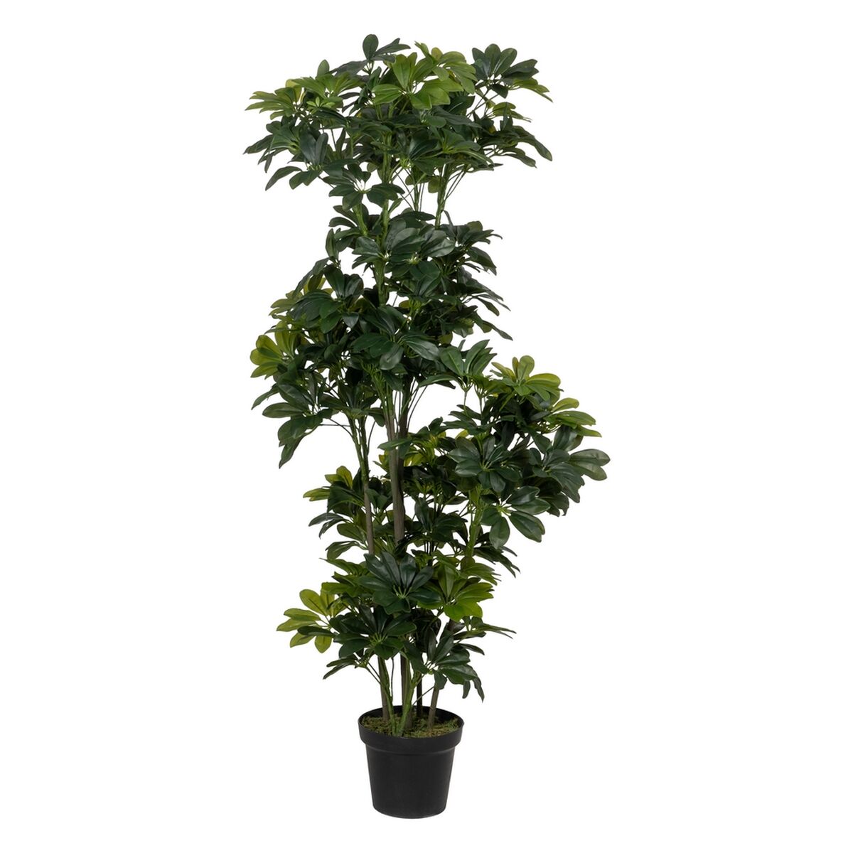 Dekorativ Plante Bambus Polyethylen Jern Cement Stof 45 x 45 x 145 cm