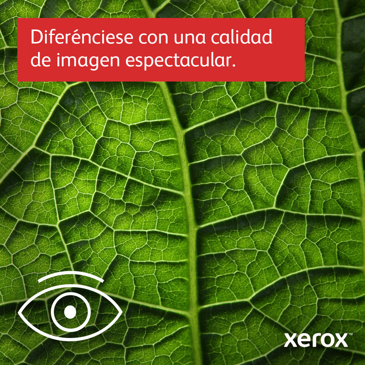 Picture of Multifunction Printer Xerox B625V_DN