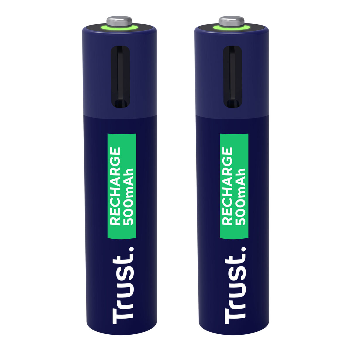 Afbeeldingen van Batteries Trust 25585 AAA