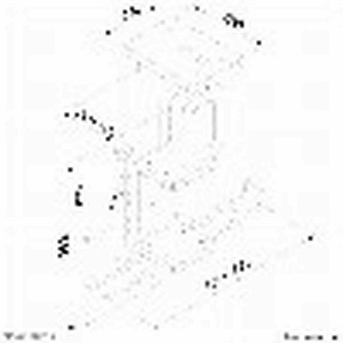 Afbeeldingen van Holder Neomounts CPU-D075BLACK/LK Black Steel