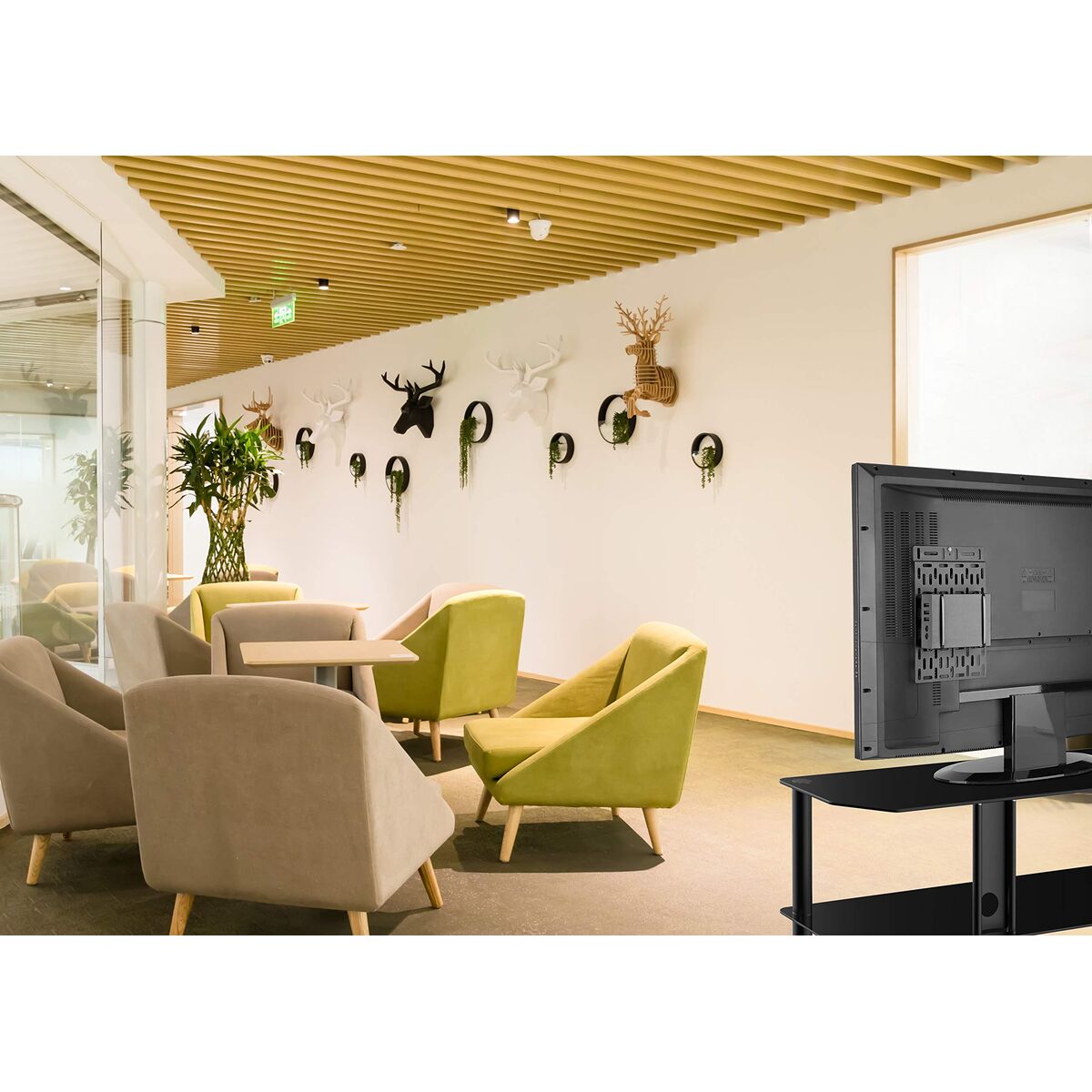 TV Mount Neomounts NS-MPM100 5 kg