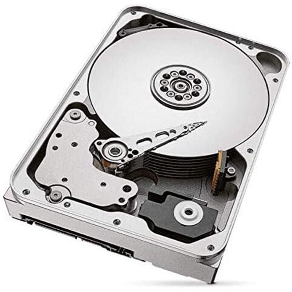 Bild von Hard Drive Seagate ST12000VN0008 3,5" 12 TB