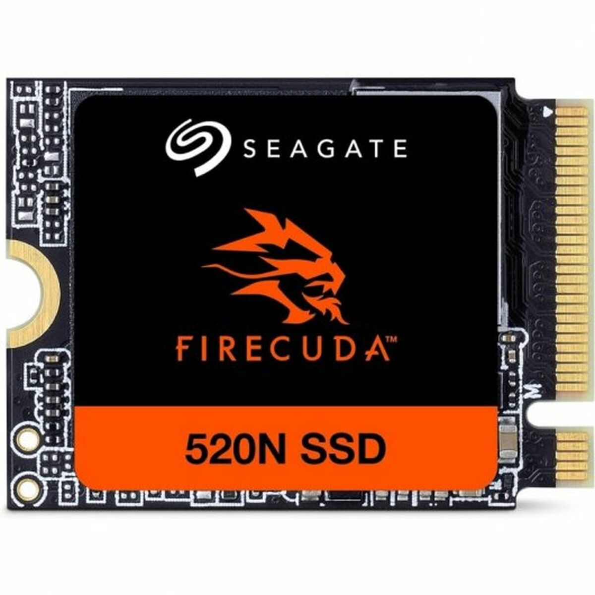 Hard Disk Seagate ZP1024GV3A002 1 TB SSD