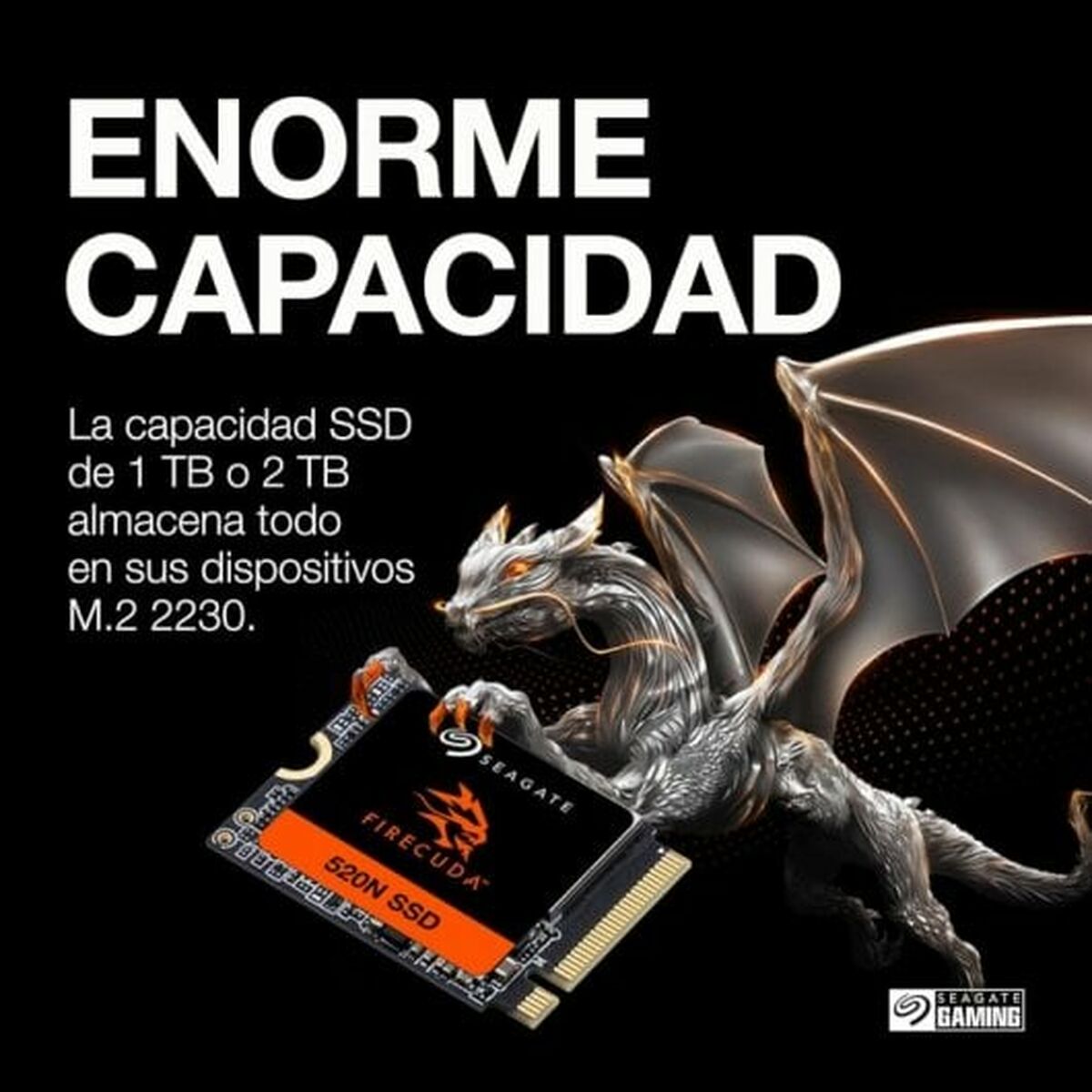 Picture of Hard Drive Seagate ZP2048GV3A002 2 TB SSD