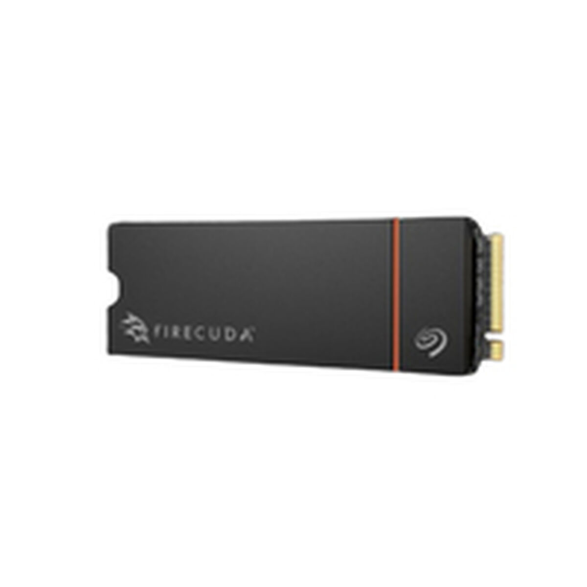 Picture of Hard Drive Seagate ZP1000GM3A073 1 TB SSD