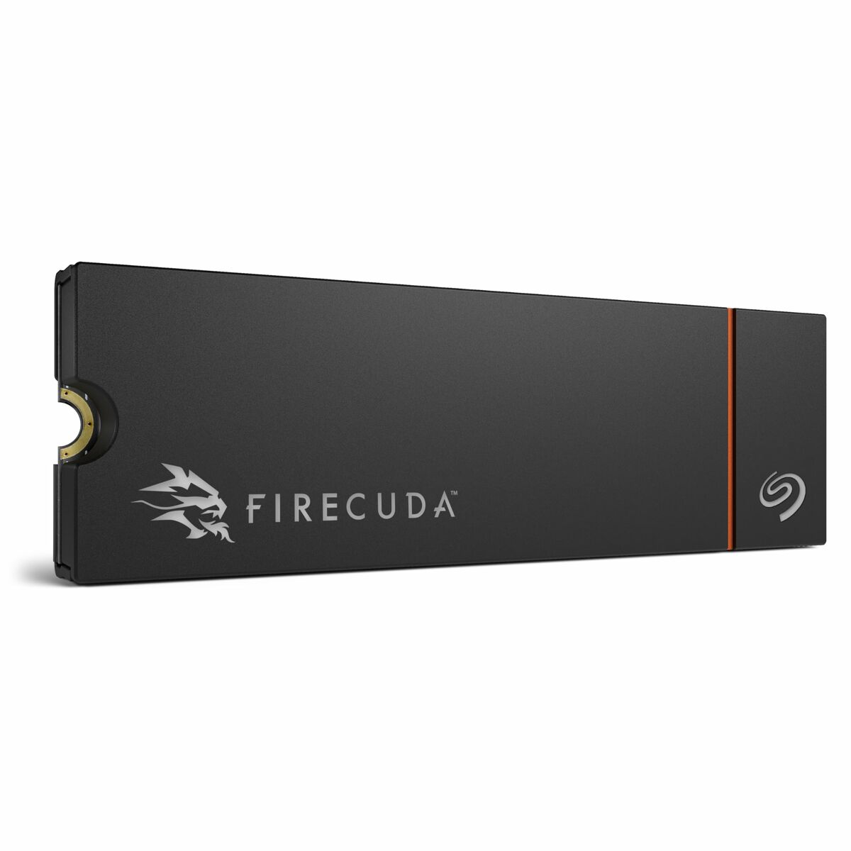 Picture of Hard Drive Seagate ZP1000GM3A073 1 TB SSD