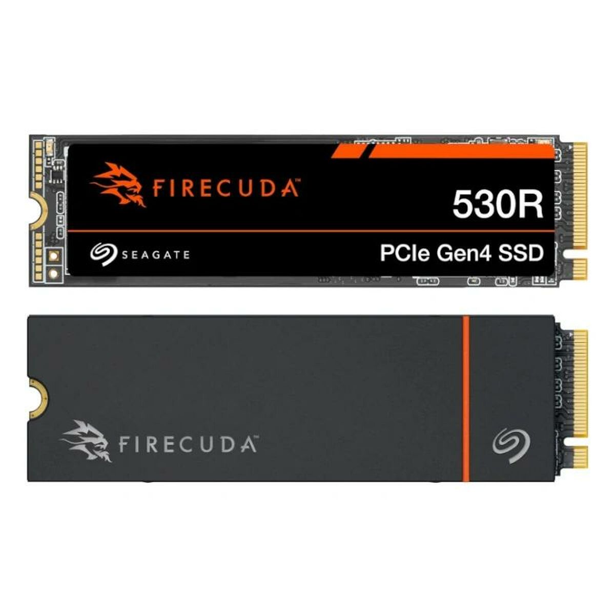 Picture of Hard Drive Seagate ZP1000GM3A073 1 TB SSD