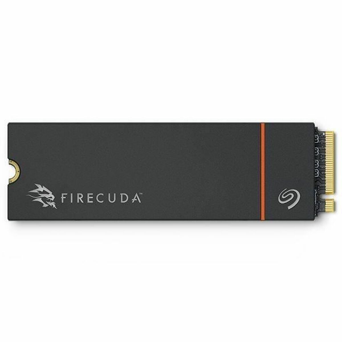 Picture of Hard Drive Seagate ZP1000GM3A073 1 TB SSD