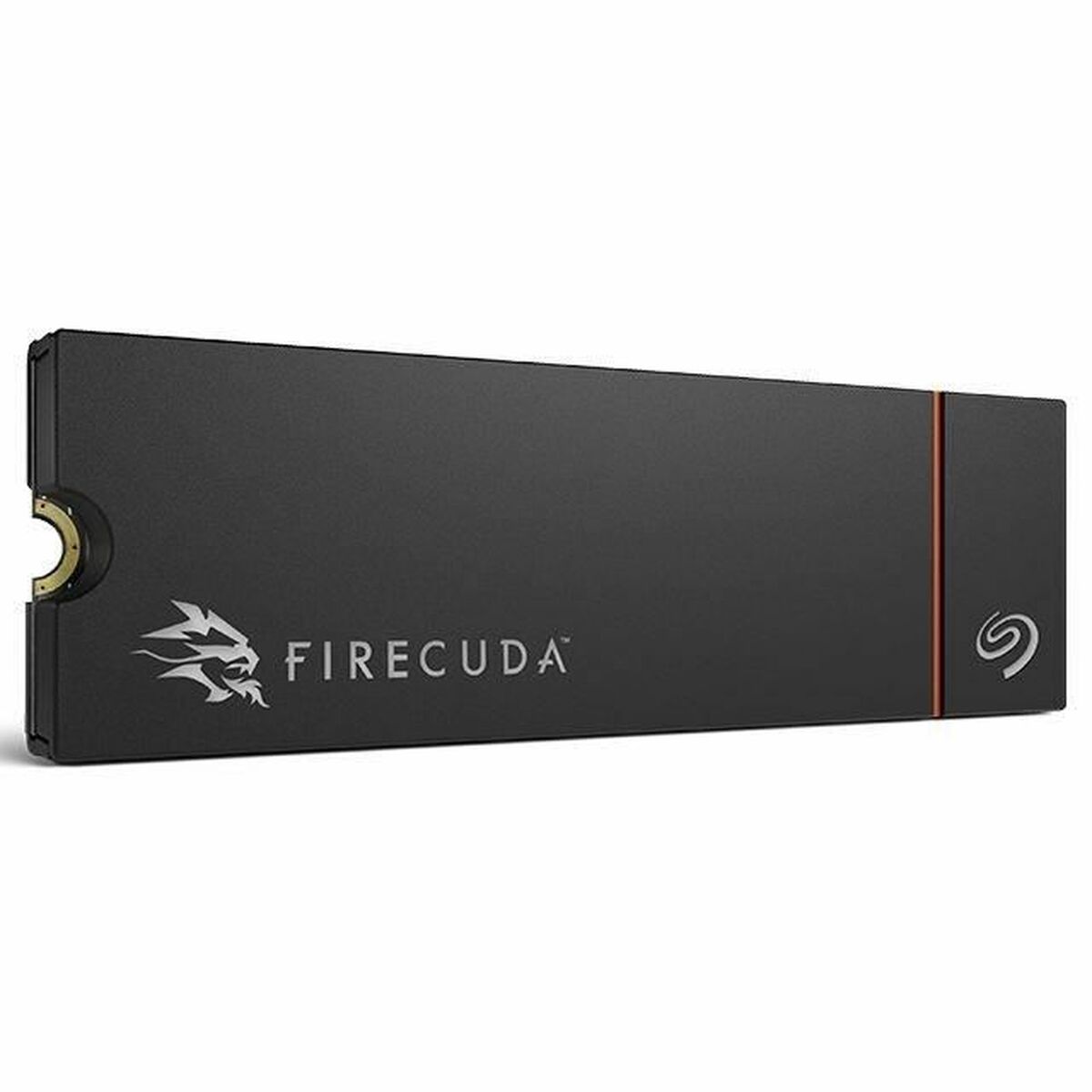 Picture of Hard Drive Seagate ZP1000GM3A073 1 TB SSD