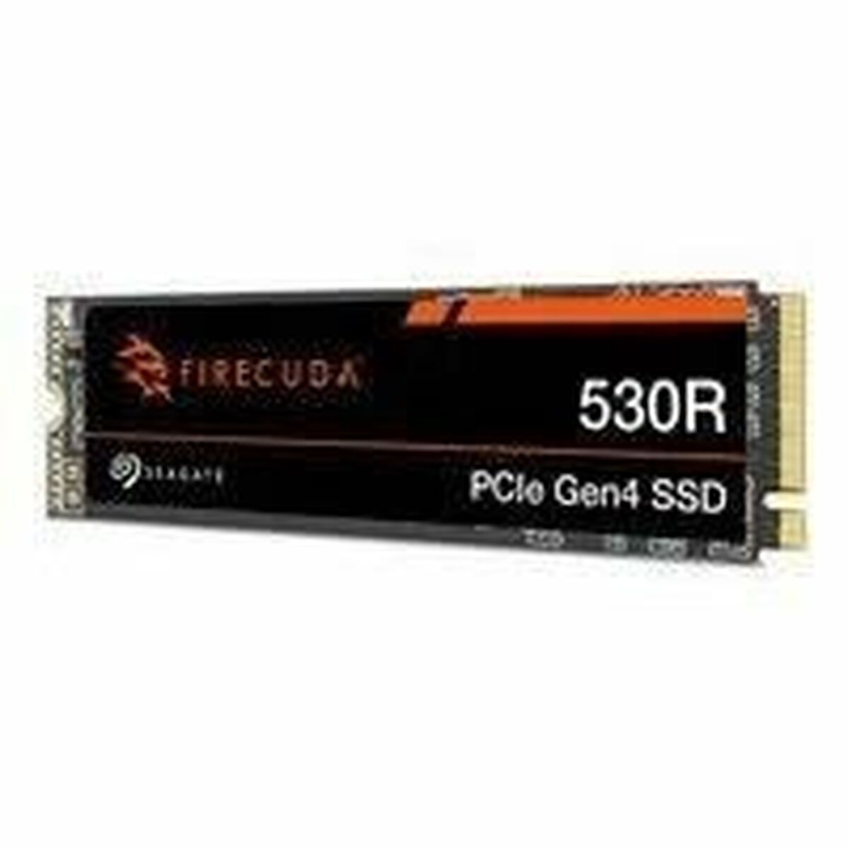 Picture of Hard Drive Seagate ZP1000GM3A073 1 TB SSD