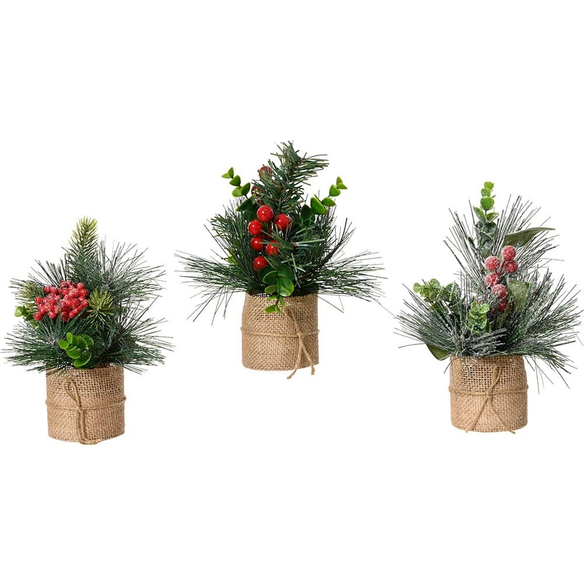 Plante décorative Everlands Noël 20 x 15 cm (3 Unités)