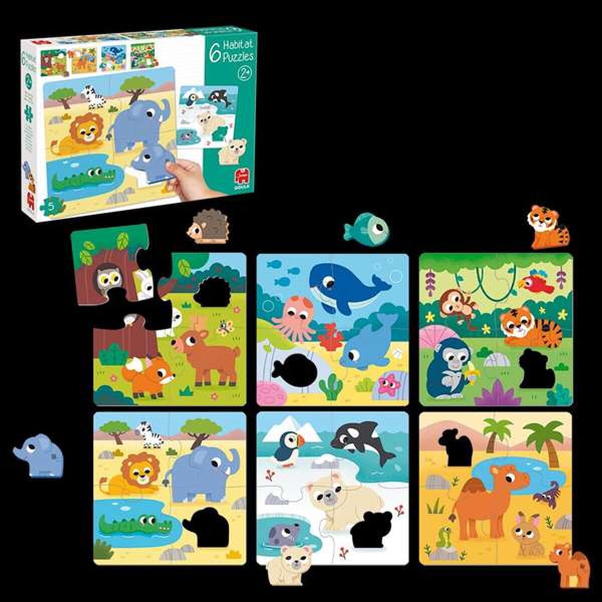 Set van 6 Puzzels Diset