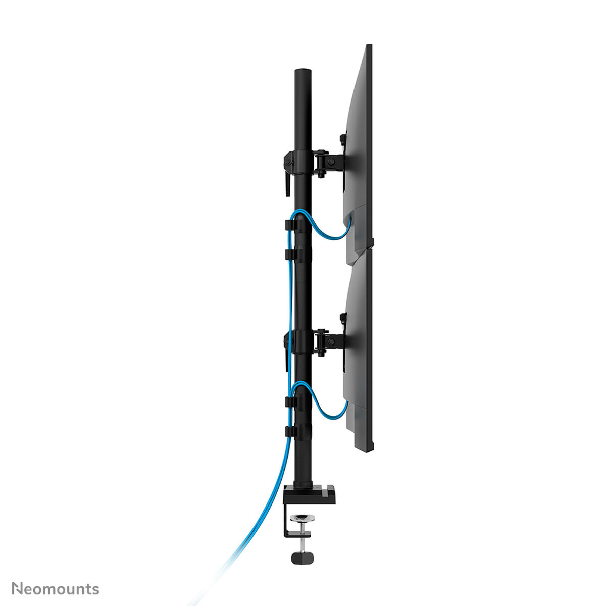 Bild von Screen Table Support Neomounts DS60-600BL2V 10" 32"
