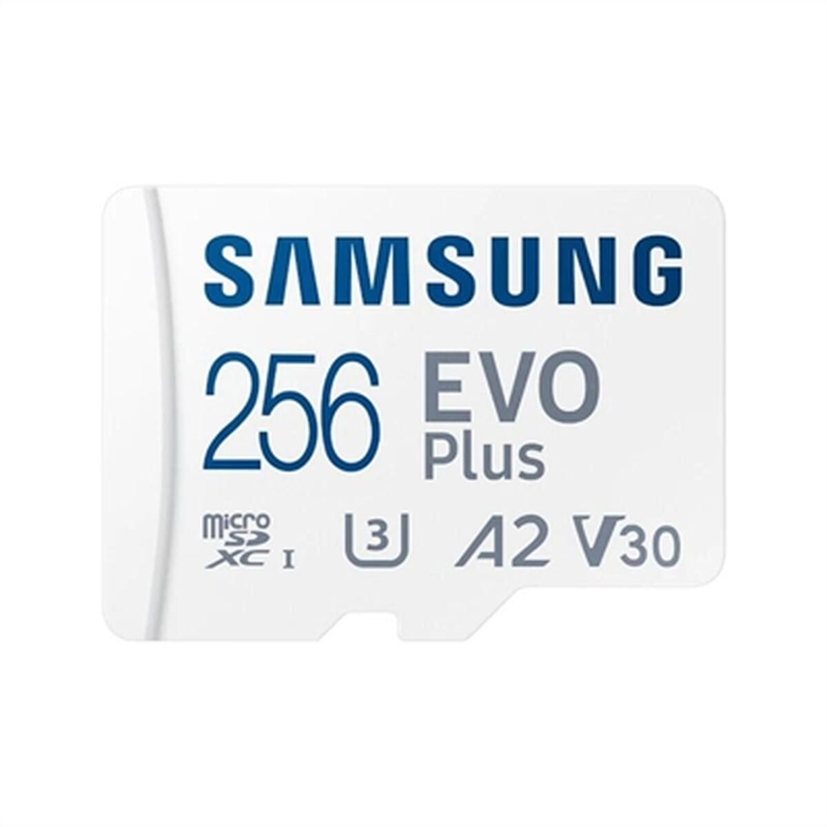 Picture of Micro SD Card Samsung EVO Plus New 256 GB