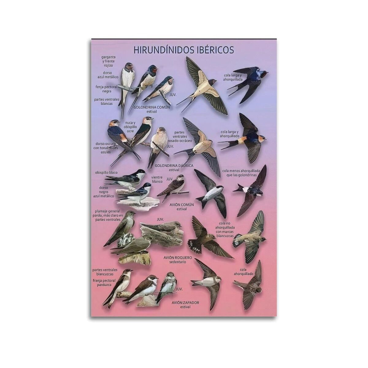 Obrazek Monitor Samsung LS37D700EAUXEN 4K Ultra HD 37"