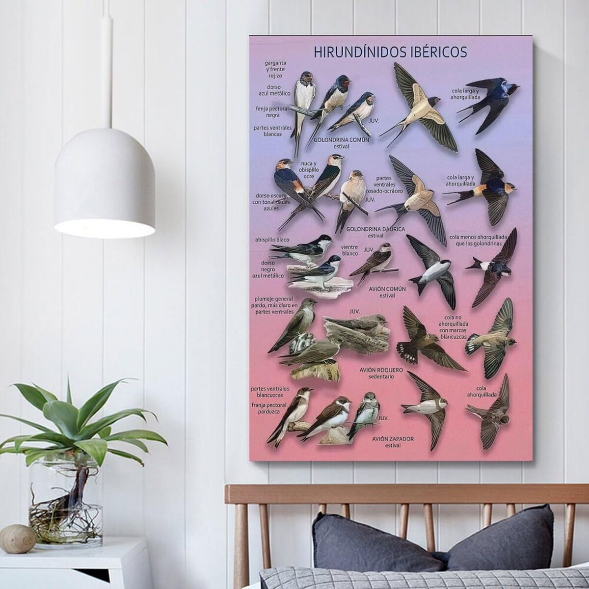 Obrazek Monitor Samsung LS37D700EAUXEN 4K Ultra HD 37"