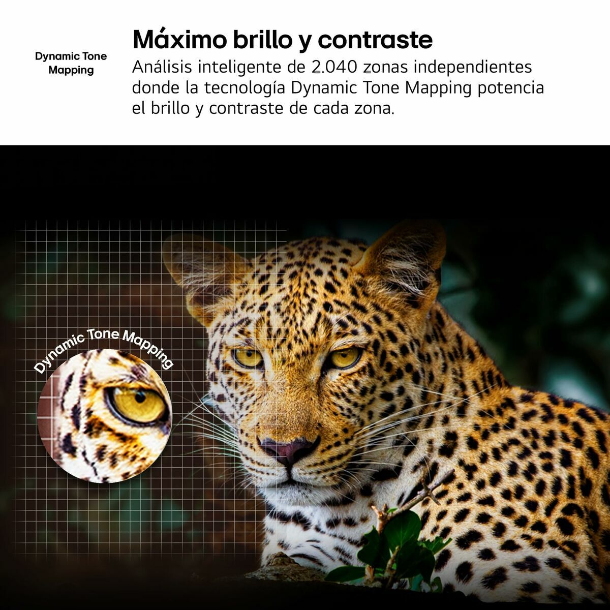 Picture of Smart TV LG 75UA75006LA 75" 4K Ultra HD LED HDR D-LED